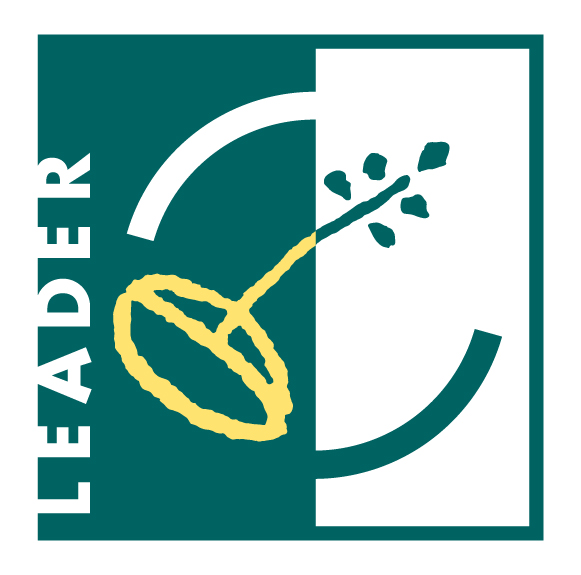 Logo_LEADER_Quadri